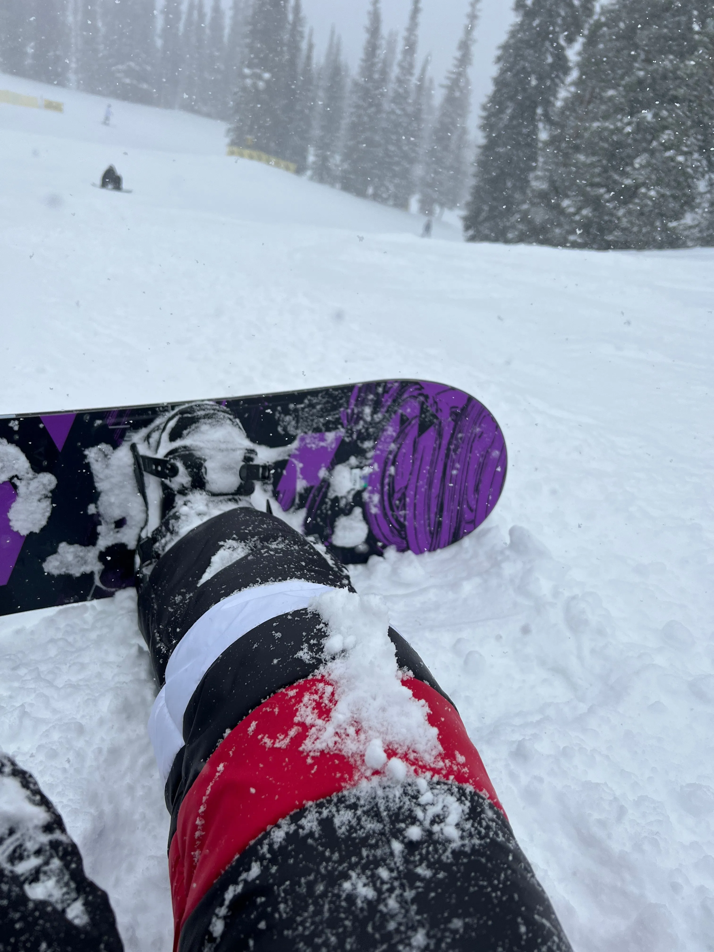 Genuine Fur Trim Ski Suit