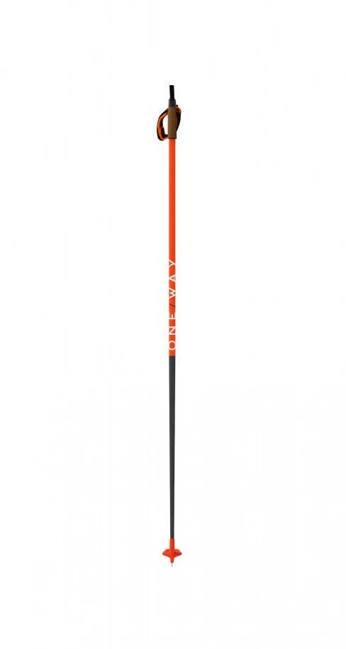 Junior Storm Ski Poles