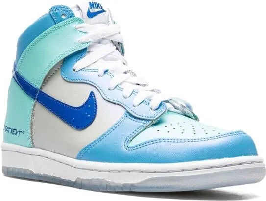 Nike Kids Dunk High 