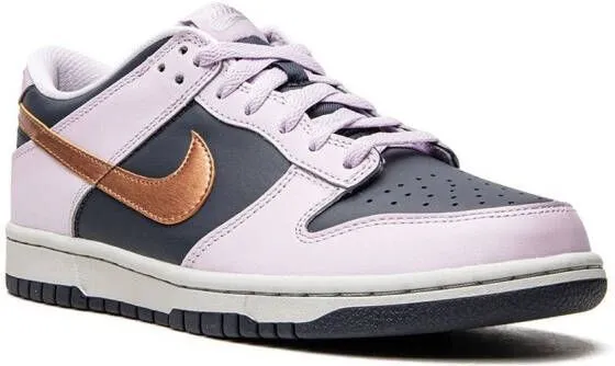 Nike Kids Dunk Low SE 