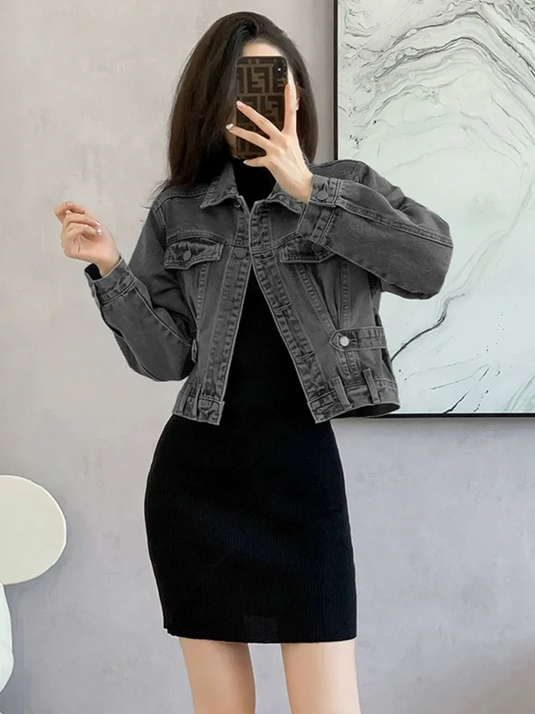 Short denim jacket spring women's 2024 new women's clothing temperament petite top design niche early spring