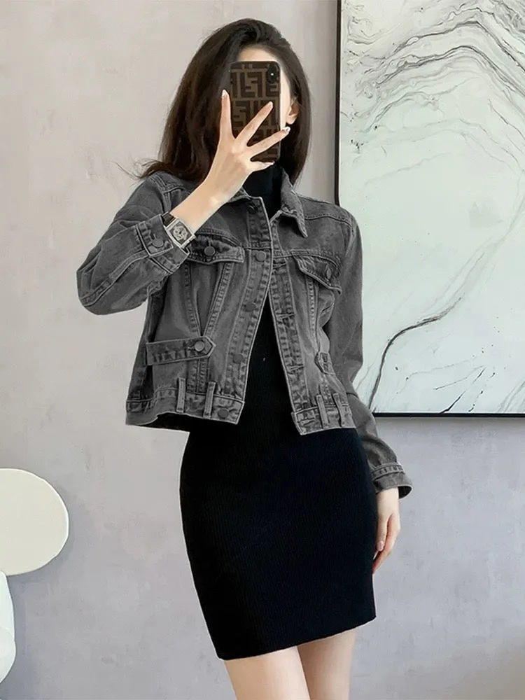 Short denim jacket spring women's 2024 new women's clothing temperament petite top design niche early spring