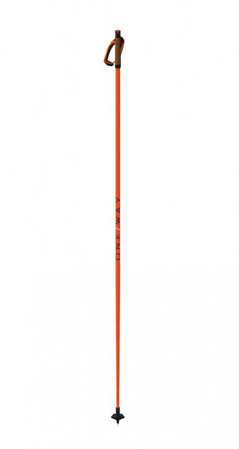 Storm 3 Mag Ski Poles