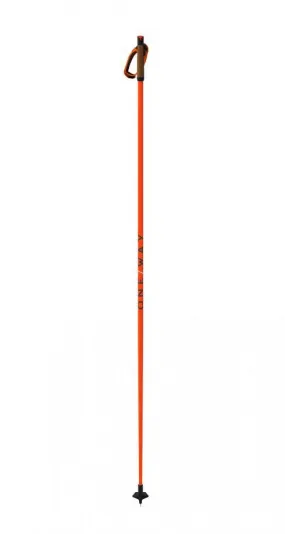 Storm 3 Mag Ski Poles